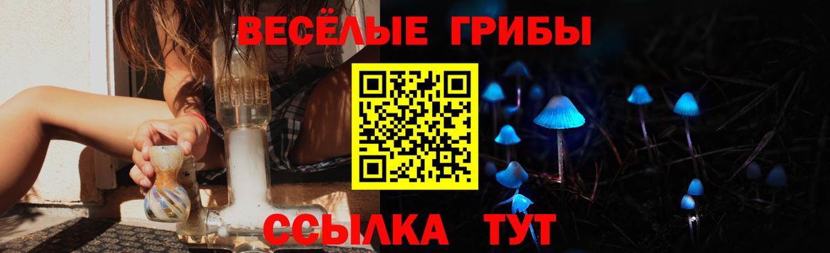 Курск  Галлюциногенные грибы Psilocybe  Вход с VPN 
